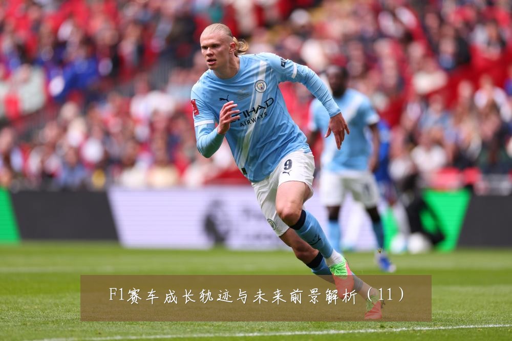F1赛车成长轨迹与未来前景解析(11)